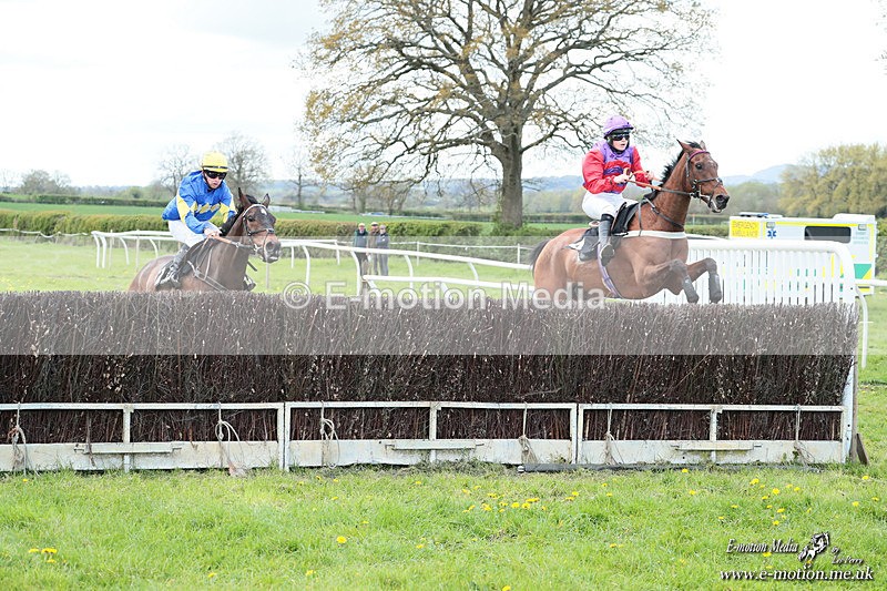 PtP 180426 118 - Worcestershire Hunt PtP Chaddesley Corbett 18/04/26