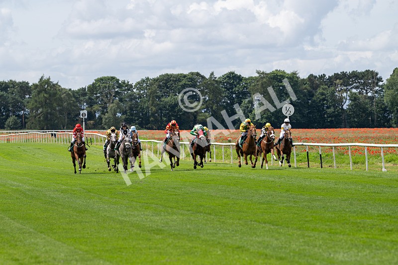 260724-Graham Lee Stable Staff Stakes-3383 - Graham Lee Stable Staff Stakes