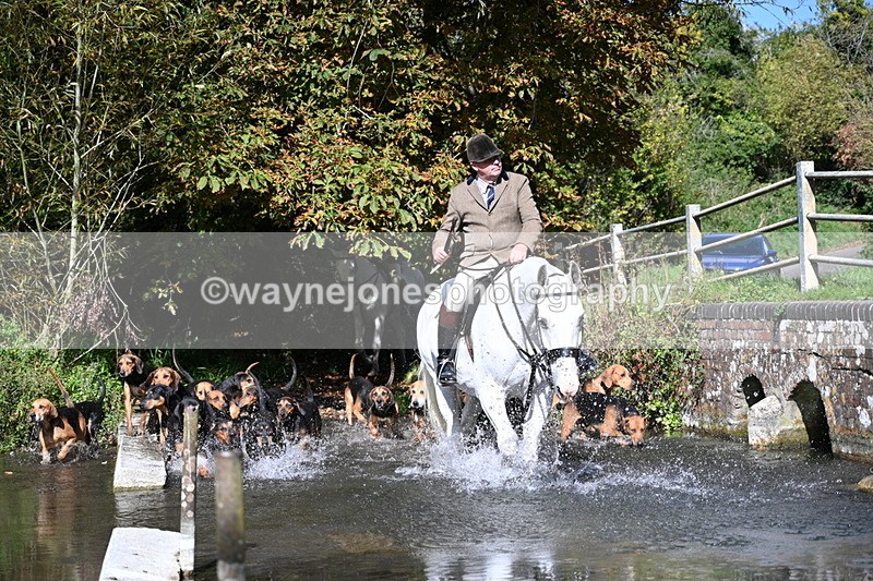 WJ7_5940 - Hounds Water Crossing