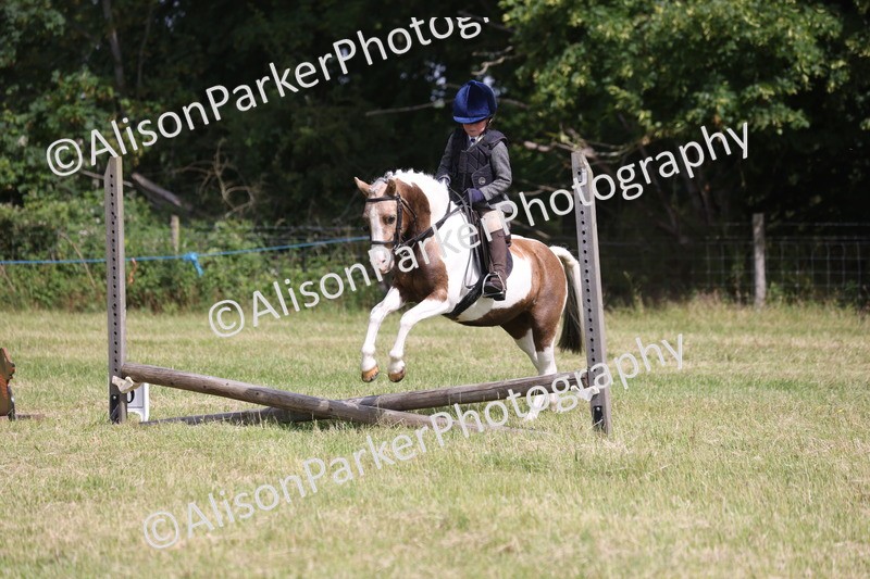 20260614-0682 - Class 20 - Beginners Working Hunter Pony
