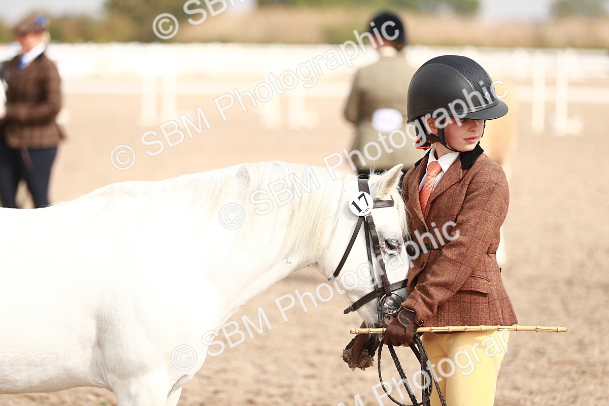 SBM_11822 - Class 206 IH Non Show Type Pony