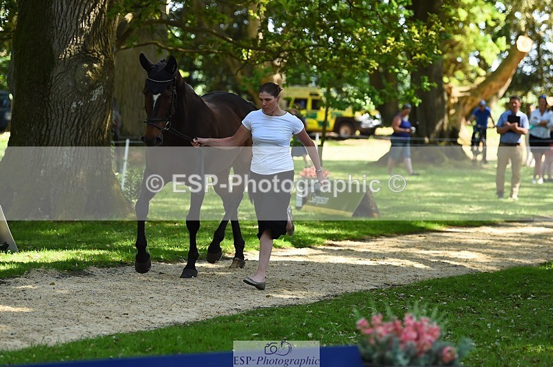 230524-153138-00328 - 353-THE_RIPPER-Bundy_Philpott-WEDTrotUp+DR