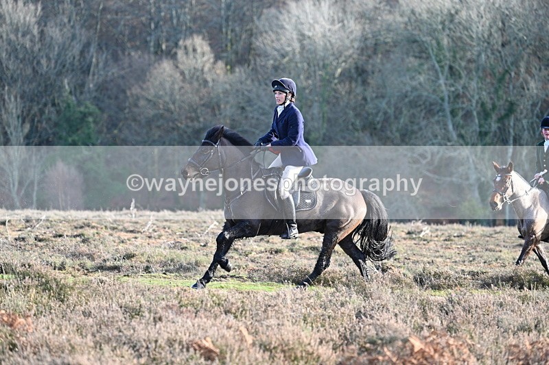 WJ7_7951 - Line 3 (no line 4 or 5)