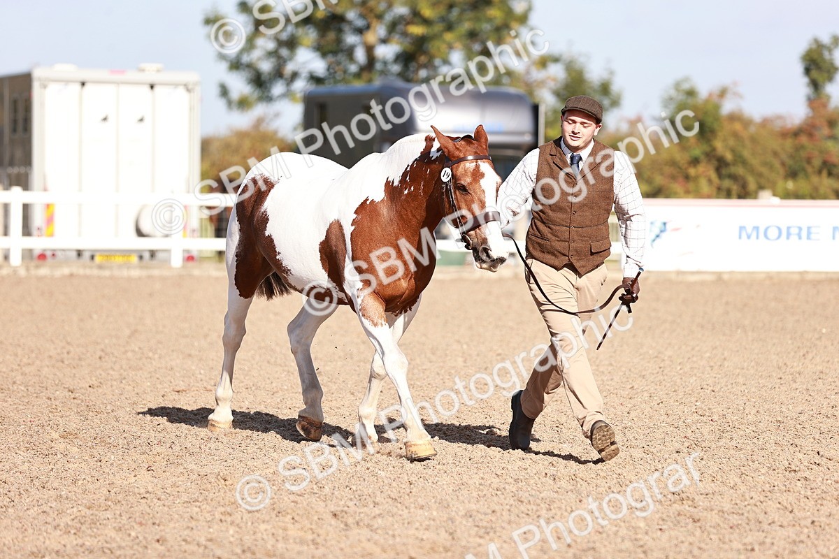SBM_22074 - Class 703 - IH Coloured