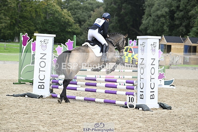 251005A-122433-03763 - Cls 08 Mini 70-75cm