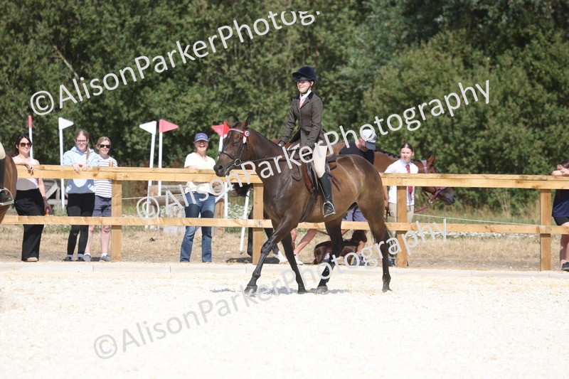 20260802-0722 - Class 8 - Best Riding Horse or Pony