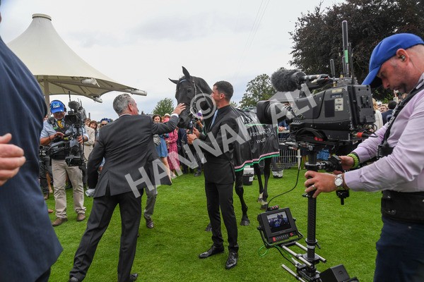 230823-Race 4-Mostahdaf-0492 - Race 4 3.35pm Juddmonte International Stakes