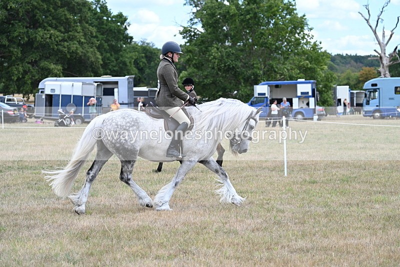 WJ7_4785 - Class 12 Ridden Cob
