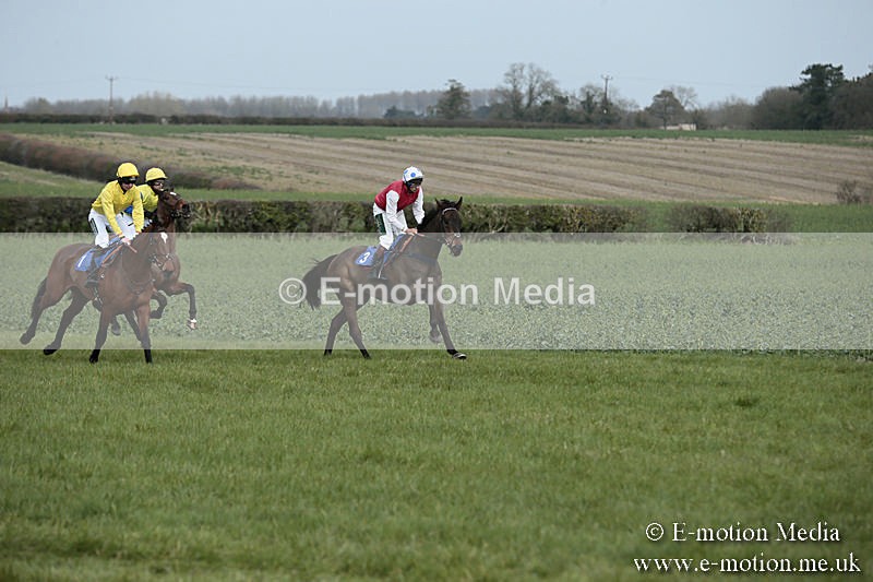 PtP 230319 13 - VWH Hunt Siddington Point-to-Point Racing 23/03/19