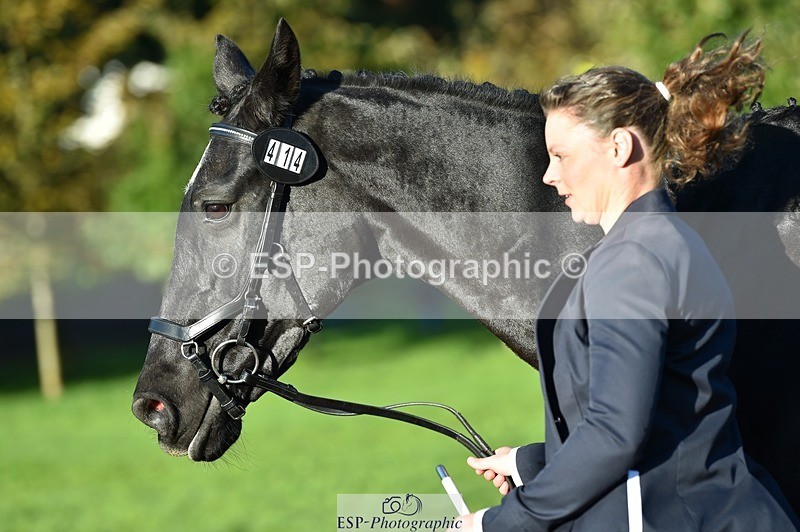 231022-093904-21948 - 414-LAMBORO.SPARKY-Lucy.Jowett-TrotUp+SJ