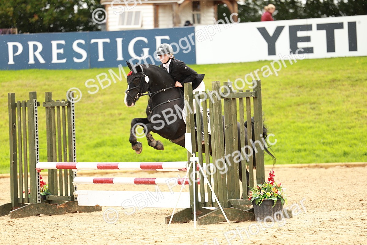 SBM_38421 - Supreme Championship 80cm 85cm
