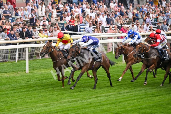 250725-Race 1-Pressures On - Quest For Fun-5341 - Race 1 5.30pm eventmasters.co.uk Handicap