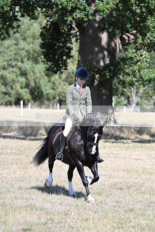 WJ7_3668 - Class 9 Mountain & Moorland Ridden