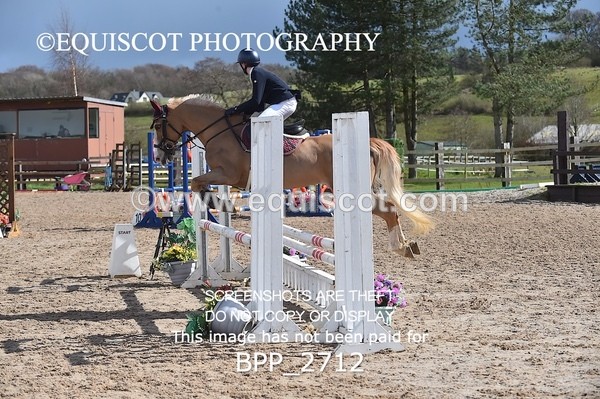 BPP_2712 - CLASS 29 STX-UK Pony BritiNovice / 0.80m Open