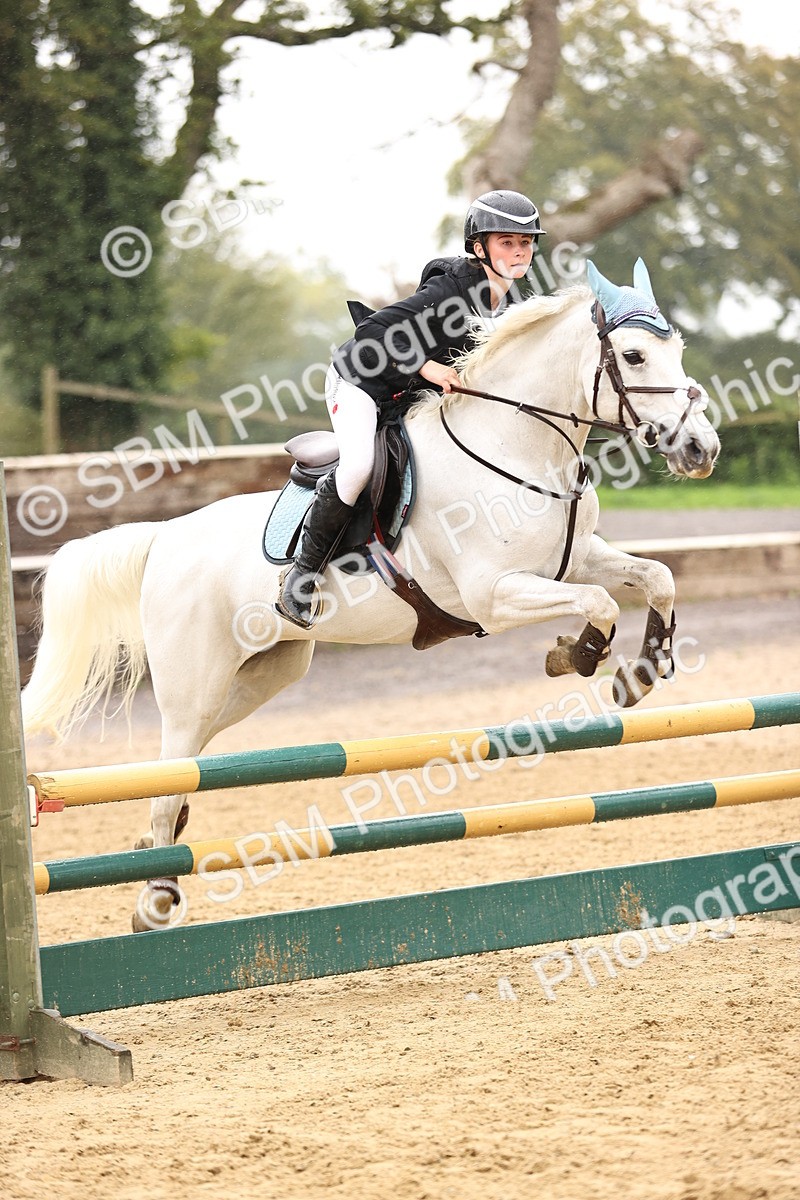 SBM_70028 - Supreme Championship 80cm 85cm