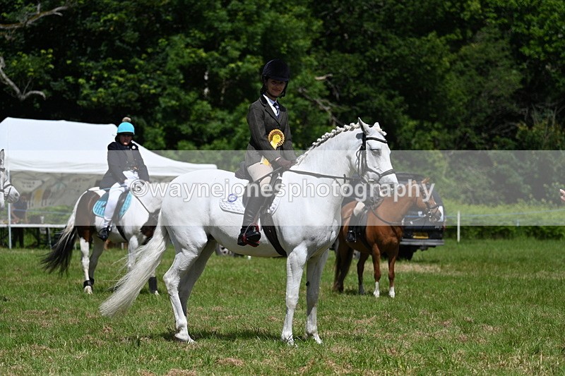 WJ7_1822 - Class 9 Pony Club Pony