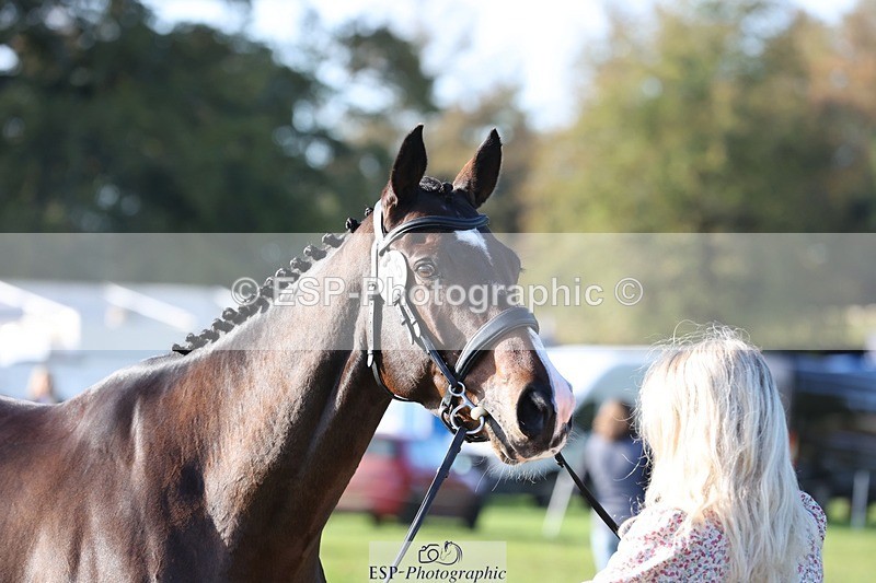 241027-102355-15861 - 505-Abby.James-SNOW.STOPPIN.HIM