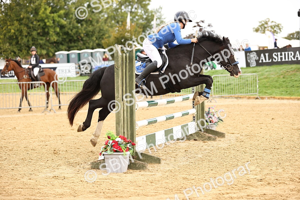 SBM_58274 - J41 - Grand Tour Horse & Pony 95cm