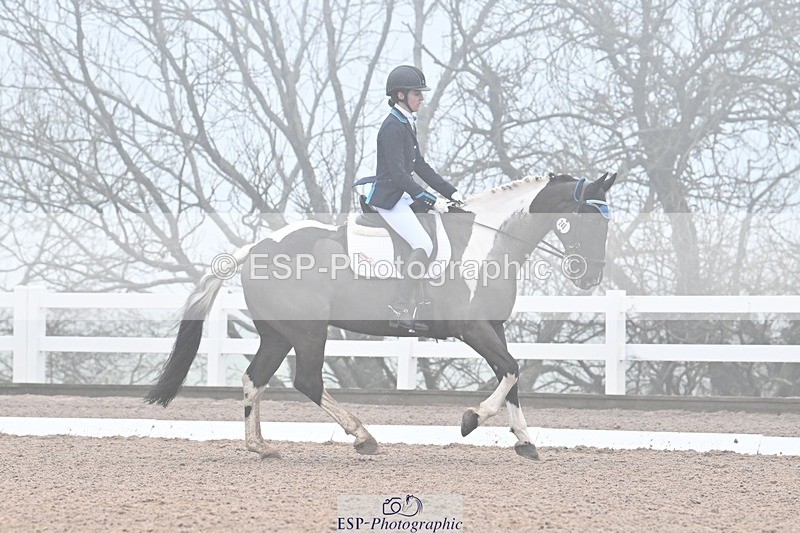 250215-094925-02878 - 248-Alys.Matravers-Tiger.Mazariti