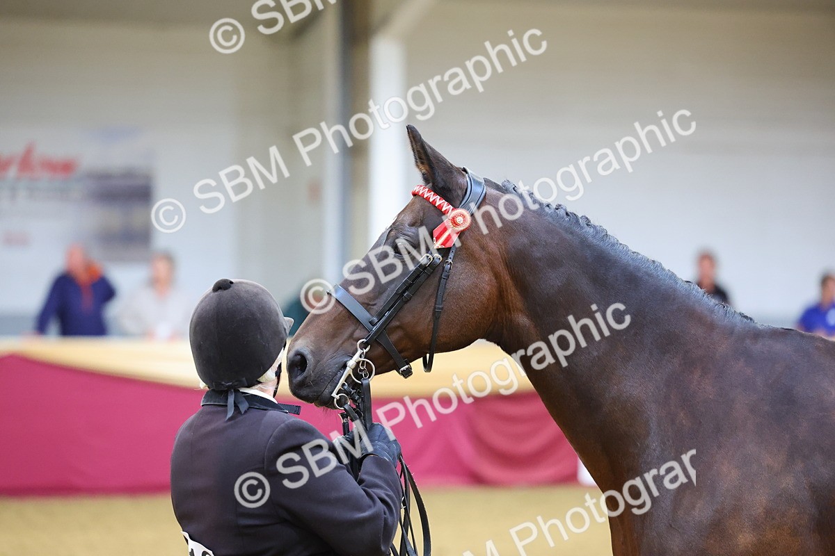 SBM_19483 - Class 901 - Supreme Final - IH Diamond