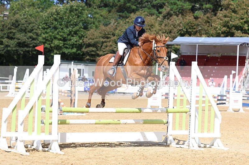 3E7A9346 - Class 9: Senior British Novice/90cm open