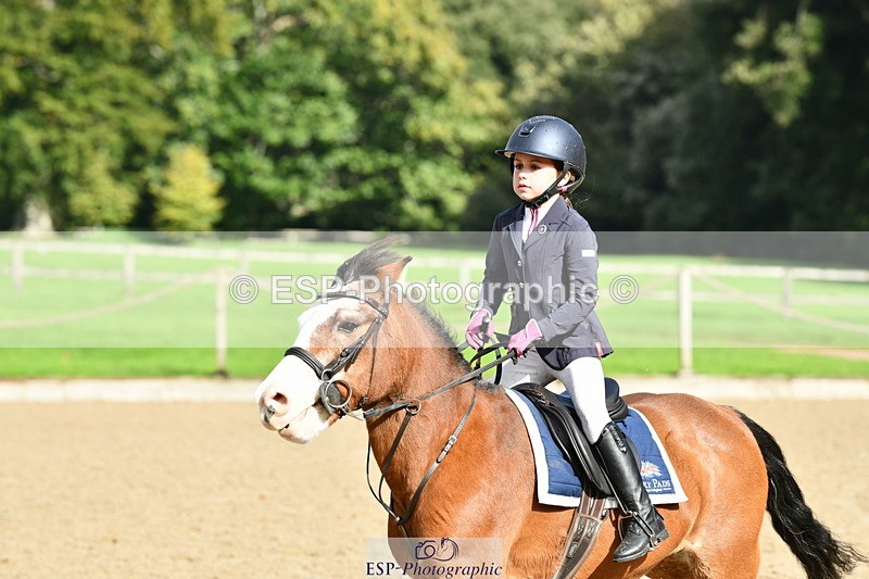 251004A-115056-00776 - Classes 4 & 5 50cm