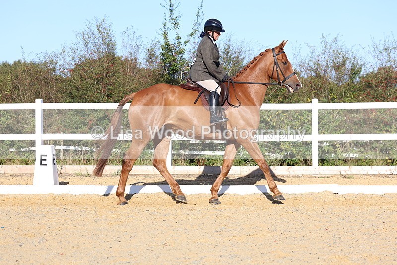 3E7A5170 - Class 7: Novice Ridden Hunter/Hack/RH/Cob