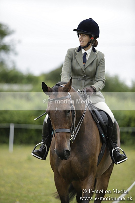 BVR160717-757 - Ring 1 BVRC Show 16/07/17