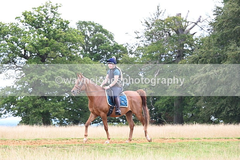 DSC_9337 - Time at Statue 14:33 to 15:10