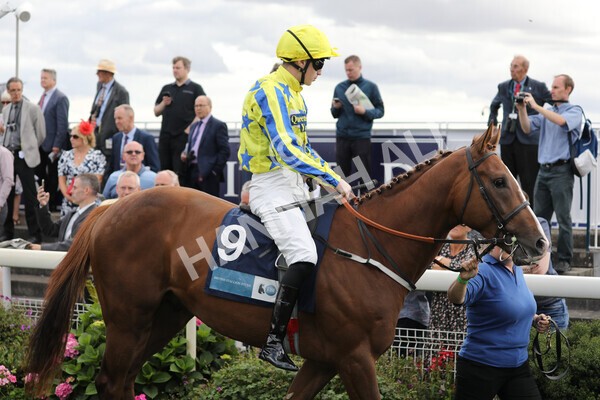 yr19082022r6-3 - Race 6 4.45 pm British Stallion Studs EBF Convivial Maiden Stakes