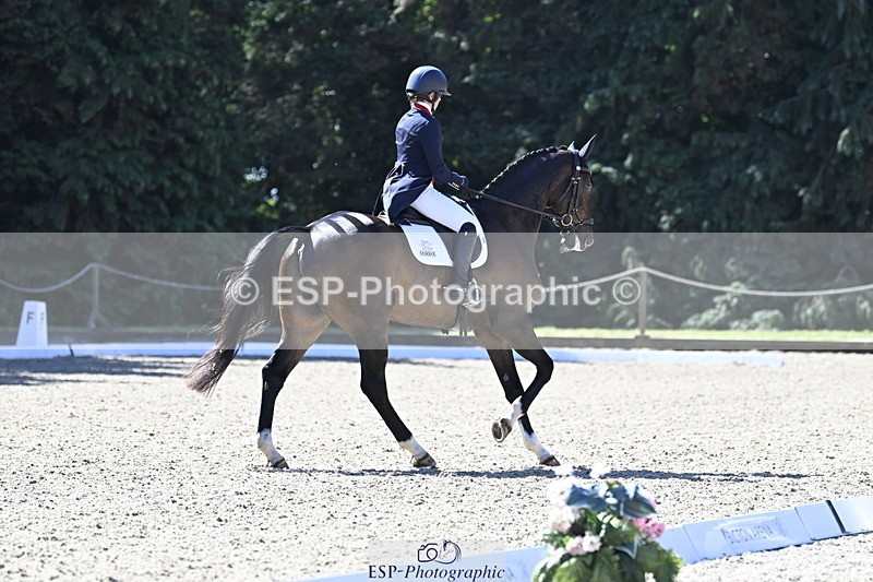 250522A-101252-02647 - B-310-Kitty.King-LISCARROW.FERNHILL