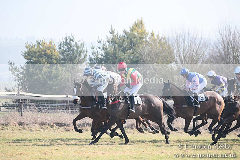 PtP 230219 50 - Vine & Craven Point-To-Point - Barbury 23/02/19