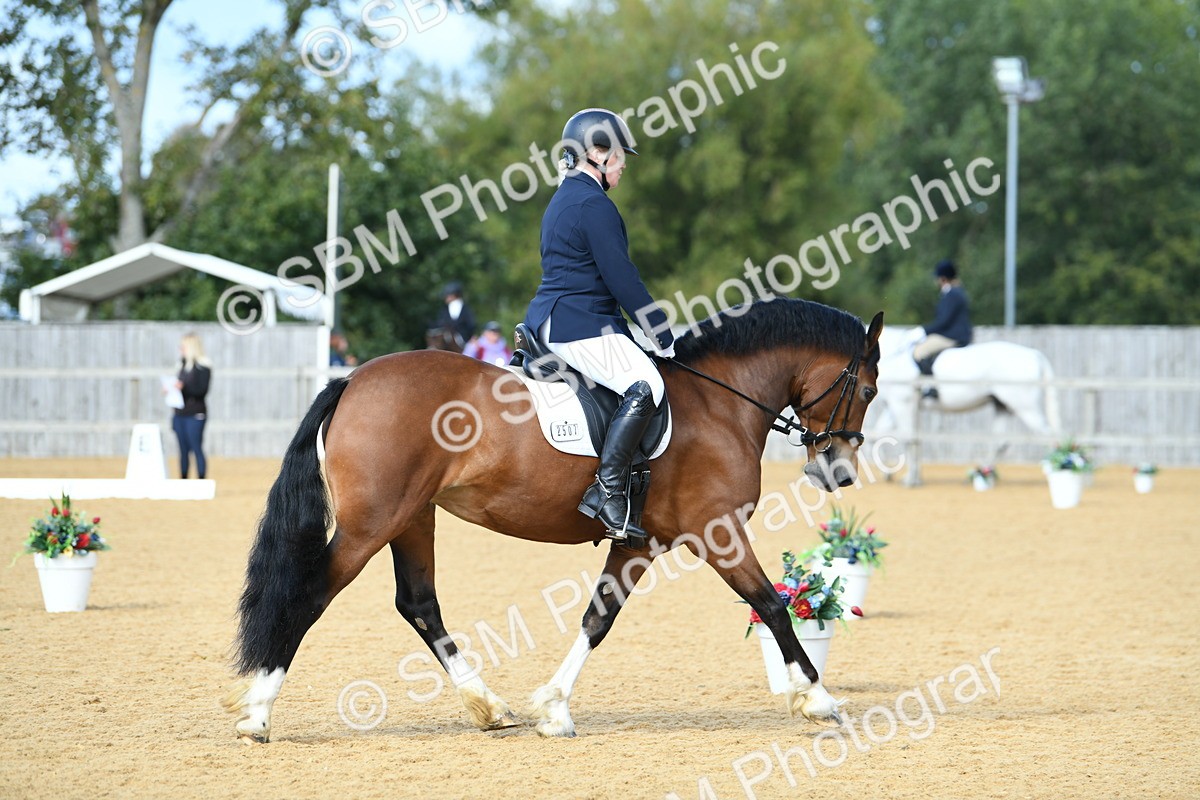 SBM_07439 - D15 Small Tour Championship Novice 24