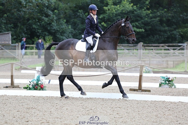 240720-100631-03855 - 235-Georgie_Dudden-Wellpark_Hawk