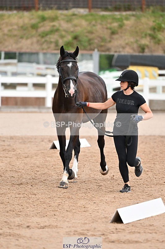 250716-145901-01571 - Trot Up 2.30 to 3.30