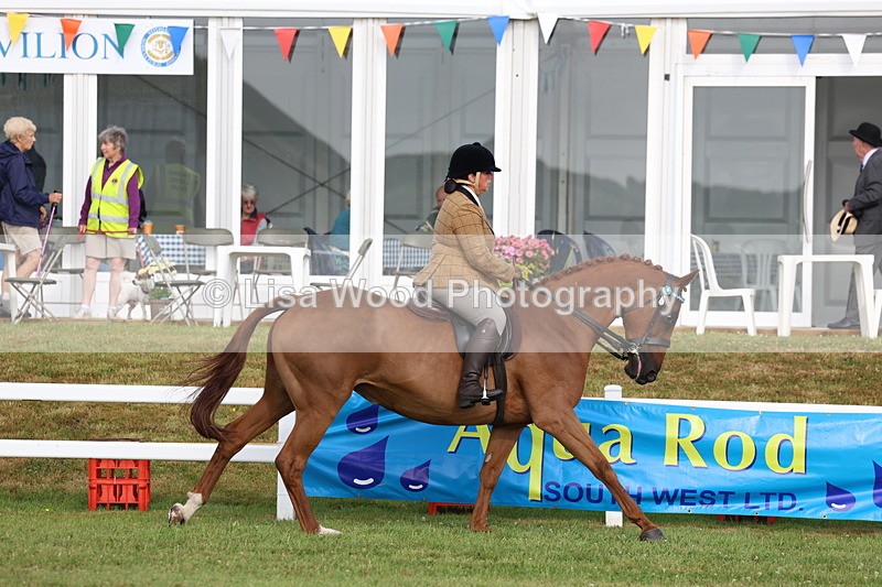 3E7A8236 - Class 2: Rising Star Large Hack/Riding Horse
