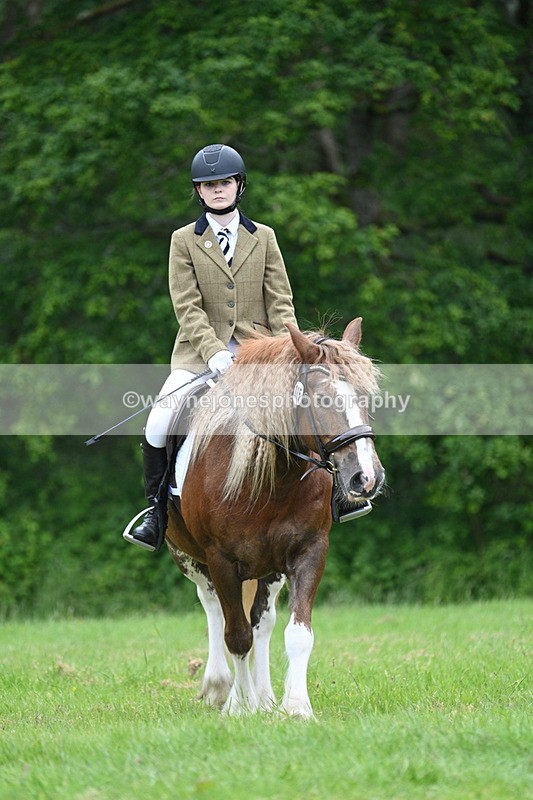 WJ7_4394 - Class 14B Prettiest Mare