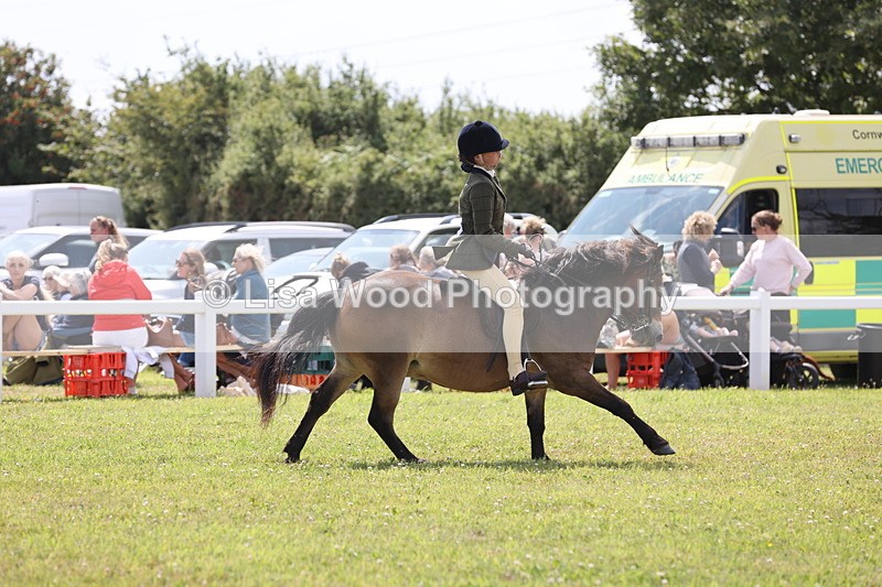 JPP_2036 - Class 19: Working Hunter 60cm