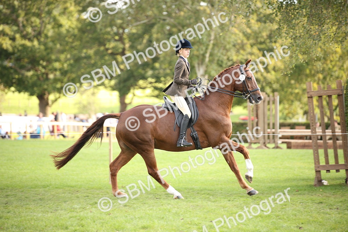 SBM_54256 - S27 - Mature Veteran - Ridden