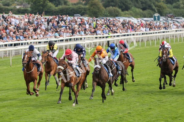 yr18082021r5-46 - Race 5 4.10pm Sky Bet Stakes