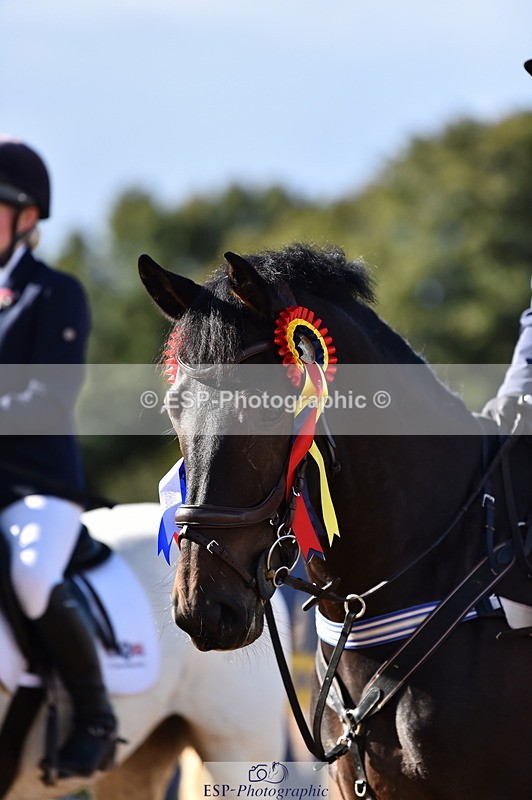 231014A-113208-04066 - Cls 13 85cm Amateur Q 2nd R