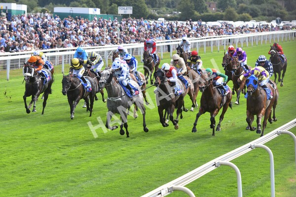 yr17082022r1-051 - Race 1 1.50pm Sky Bet & Symphony Group Stakes