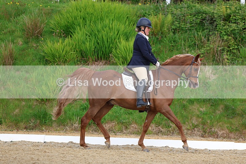 3E7A3464 - Class 2: INTRO B- INTRO 3 2024