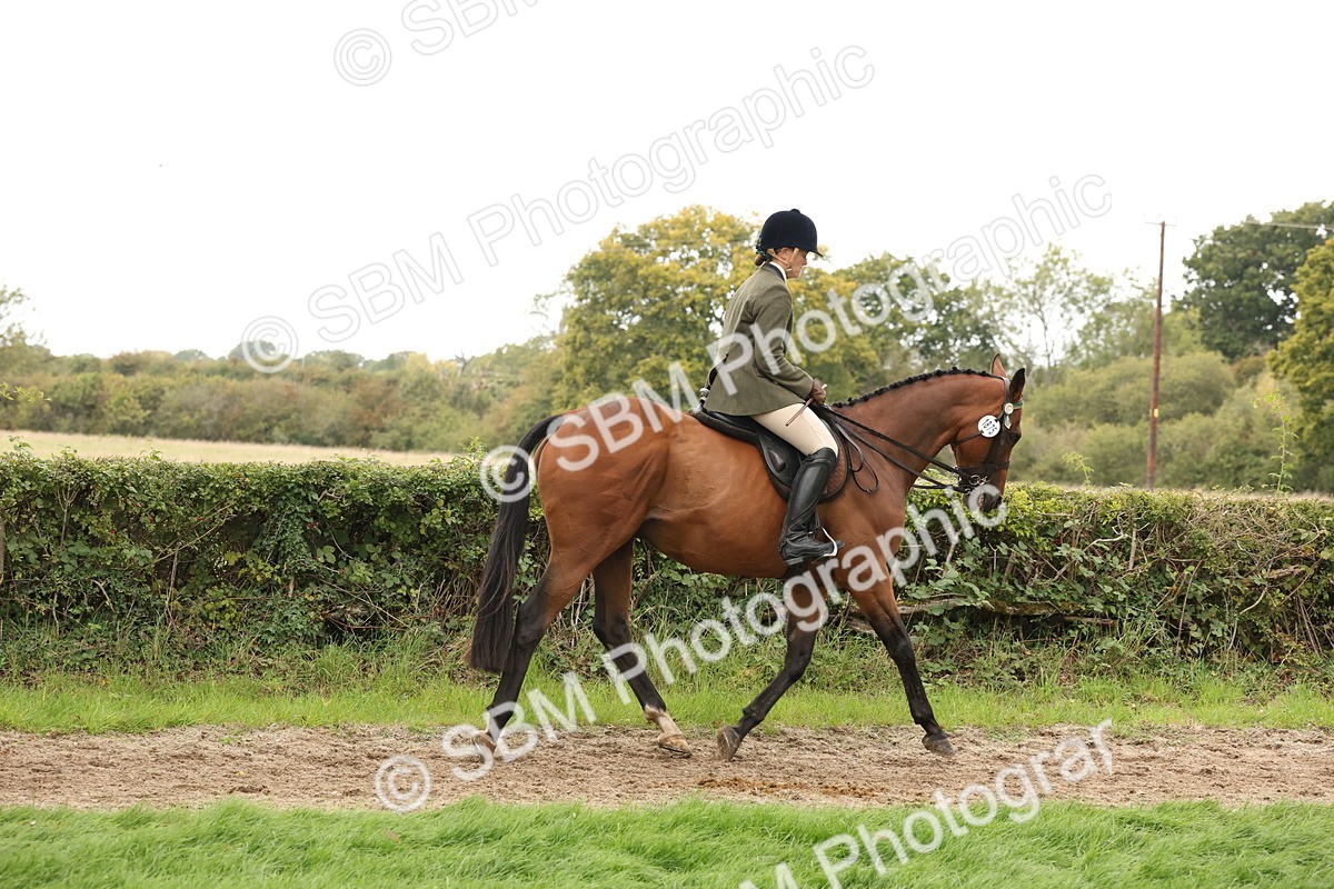 SBM_64179 - S65 - Riding Horse & Hack & Thoroughbred Ridden
