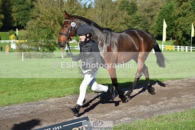 231022-105148-23553 - 466-SPARHANGER.VELVET-Tichy.Sanders-TrotUp+SJ