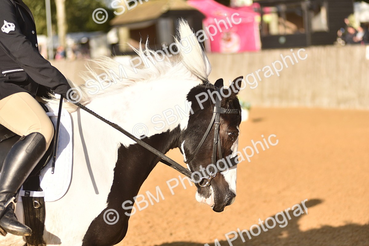 SBM_53344 - D24 - Junior Championship Prelim 3