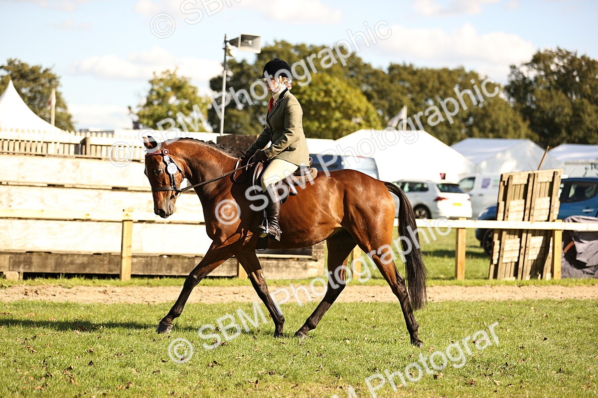 SBM_26447 - S6 - Novice & Newcomers Ridden Horse
