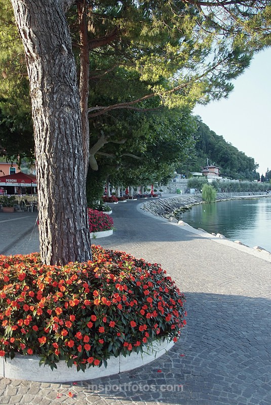Garda town promenade - Travel, city/land scapes