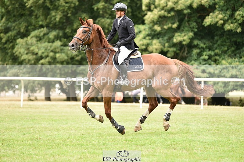 260704A-101926-12726 - Cls 41 Snr Fox inc 6 Year Old