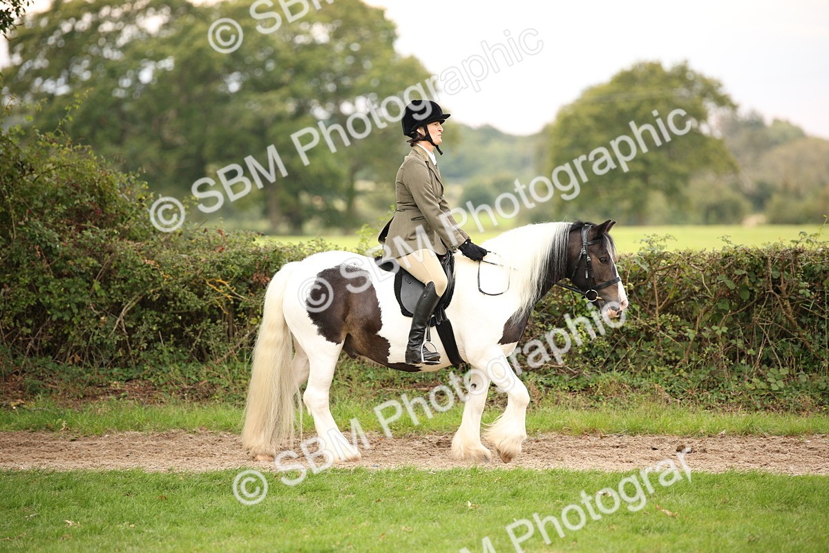 SBM_73408 - S68 - Traditional Cob Ridden